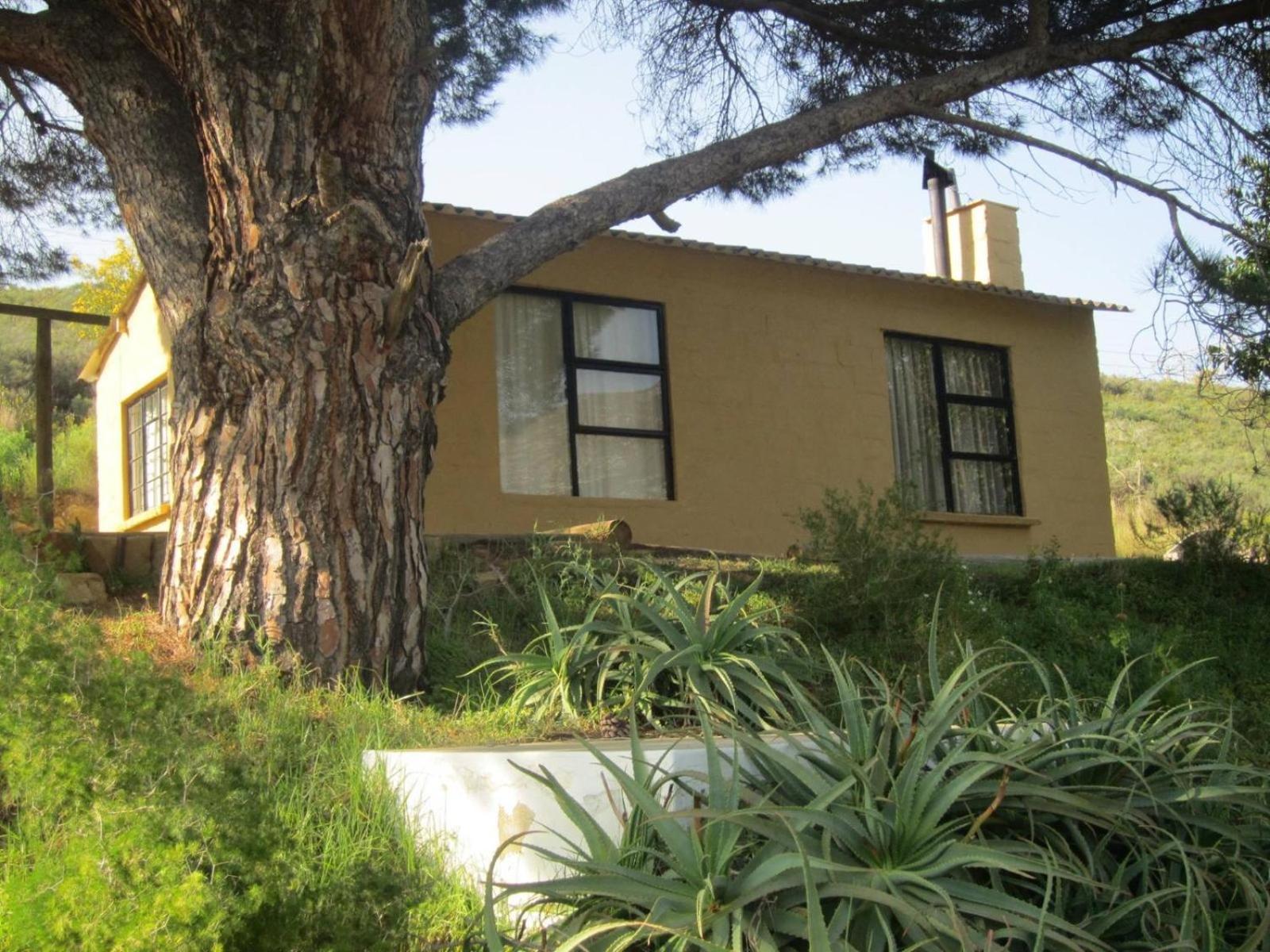 Swaynekloof Farm Villa Botrivier Oda fotoğraf