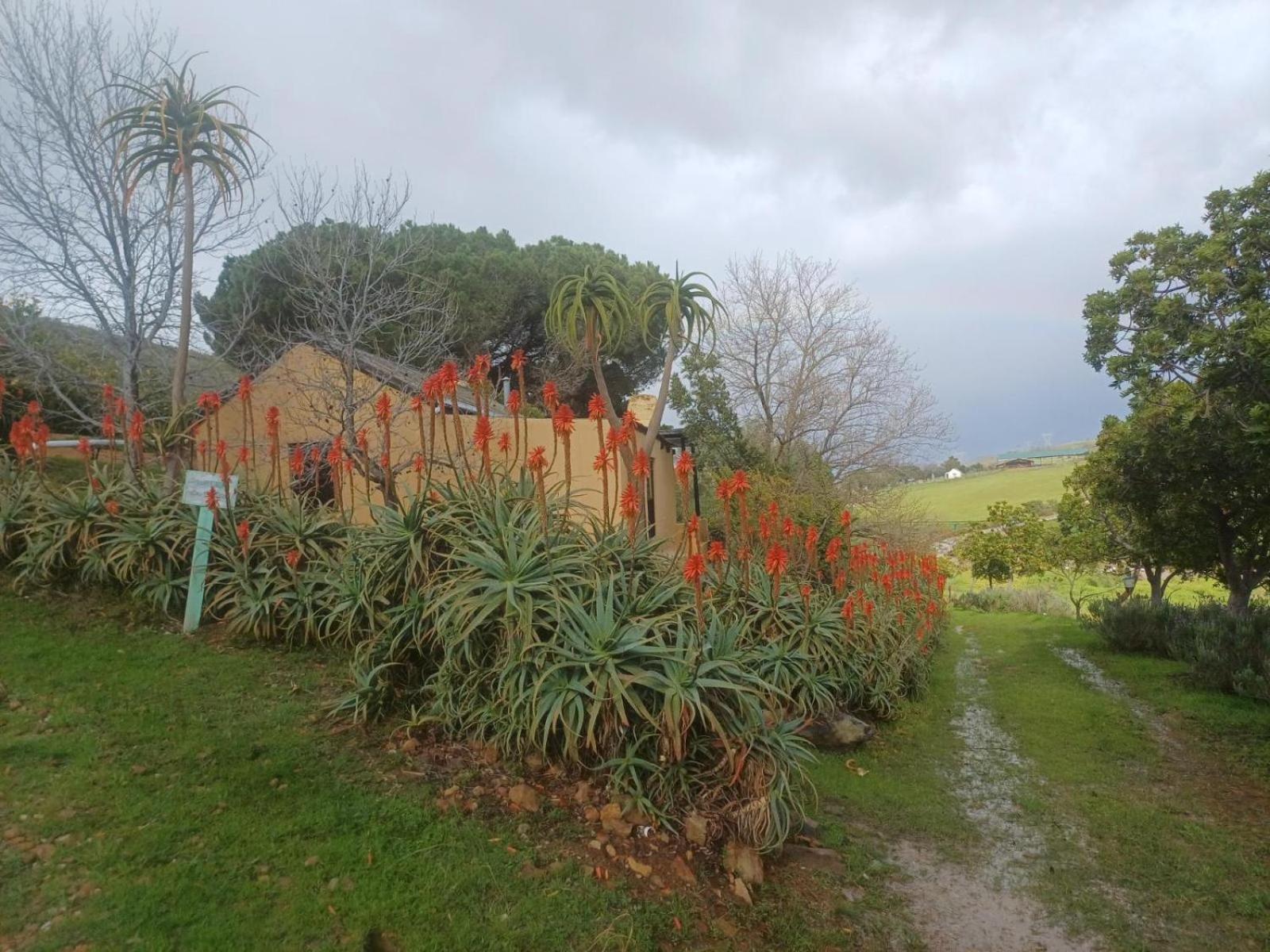 Swaynekloof Farm Villa Botrivier Dış mekan fotoğraf